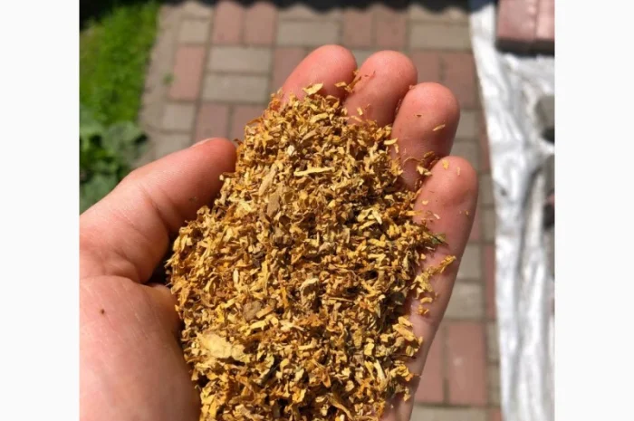 Табак различных сортов: Махорка, Вирджиния, Берли и другие- фото № 4