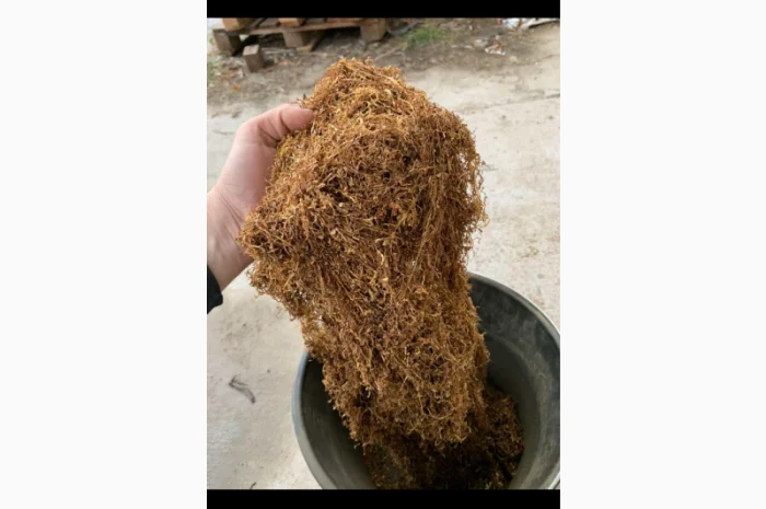 Оптовая продажа очищенного тюта- фото № 4