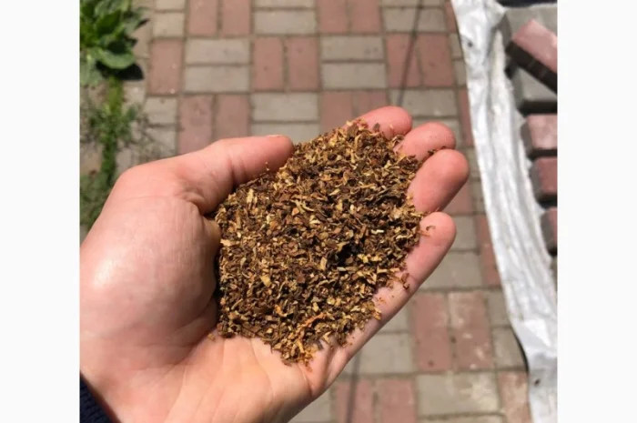 Тютюн Берлі / Мальбро / Голд / Руно / Болгарський / Гільзи / Люльки- фото № 11