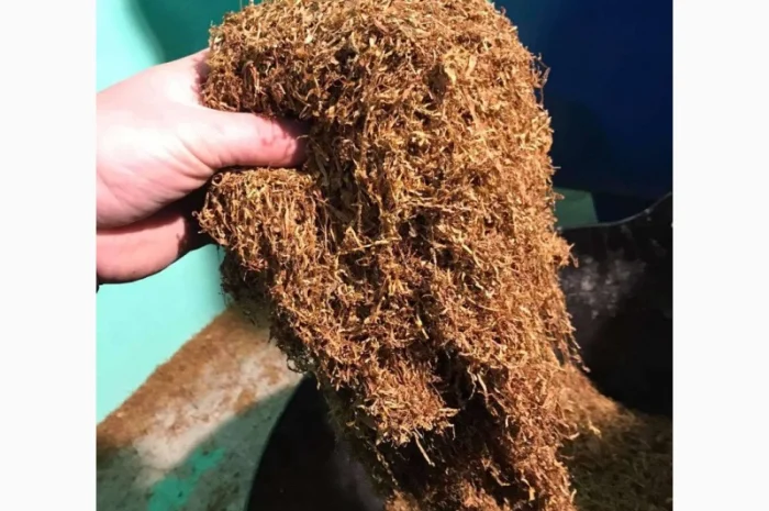 Продається тютюн для самокруток , оптом і роздрібно - Берлі- фото № 1