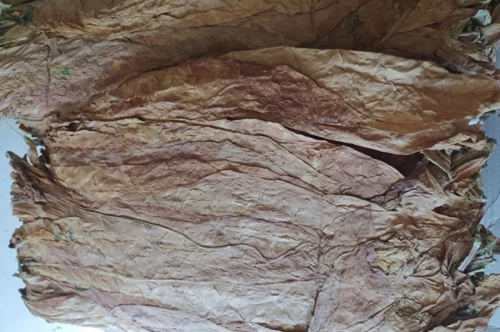 Тютюн в листi! Берли, Вирджиния, Ориентал- фото № 4