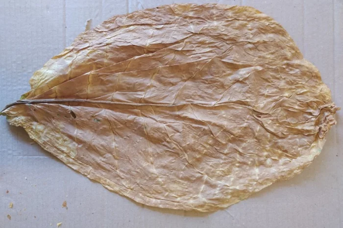 Продам табак листовой Вирджиния, Берли, Ориентал- фото № 3