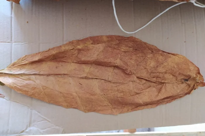 Магазин табачного листа Tobacco Leaf Shop- фото № 4