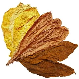 Магазин табачного листа Tobacco Leaf Shop- фото № 6