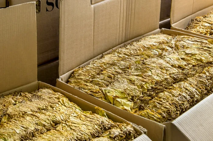 Магазин табачного листа Tobacco Leaf Shop- фото № 2