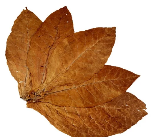 Магазин листового табака Tobacco Leaf Shop- фото № 3