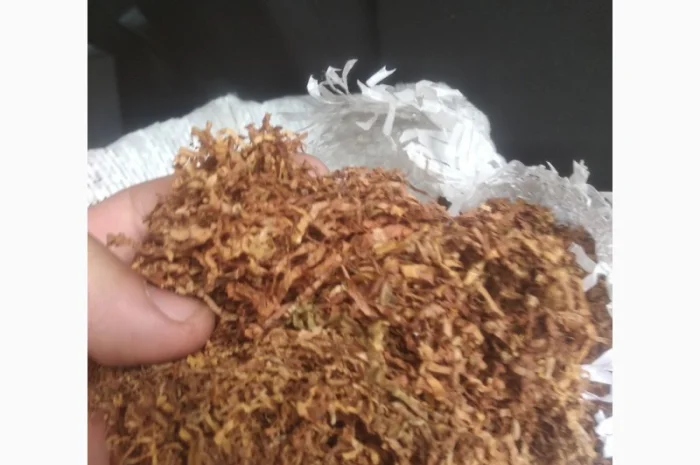 Лм. Ротманс. Бонд. Вест.Кемел.Фабричка без пыли и мусора- фото № 1