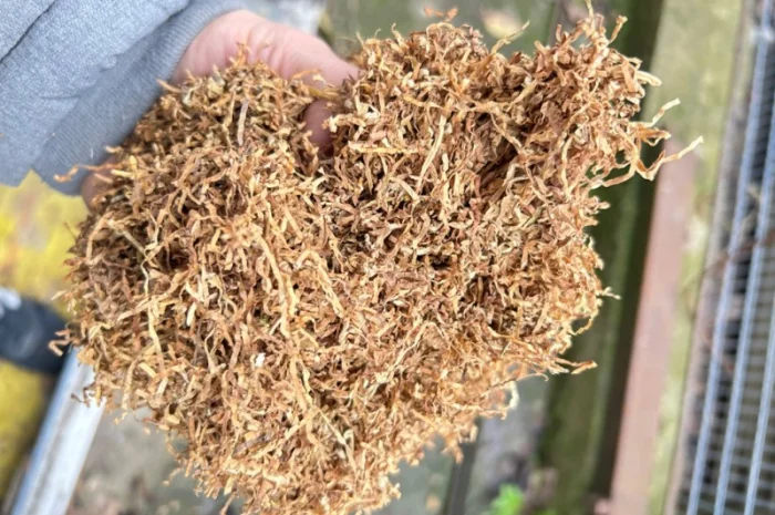 Продам табак Болгарський Вирджиния Голд- фото № 1