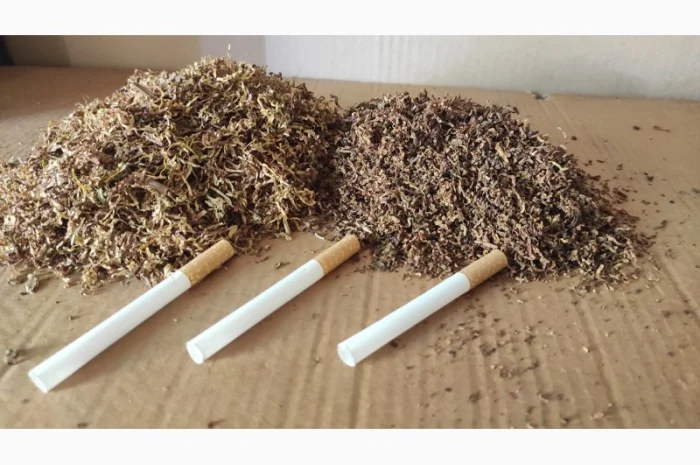 Лучшие, проверенные сорта табака для самокруток  + подарок- фото № 9