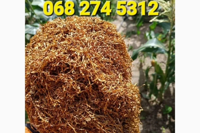 Дуже гарний та чистий тютюн для самокруток  без домішок.Возможен опт- фото № 6