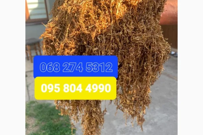 Чистый табак без жилок и пыли- фото № 9