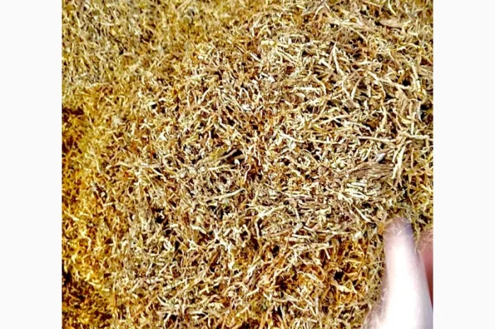 Честная «ЦЕНА» Розница и Оптом.Winston- фото № 4