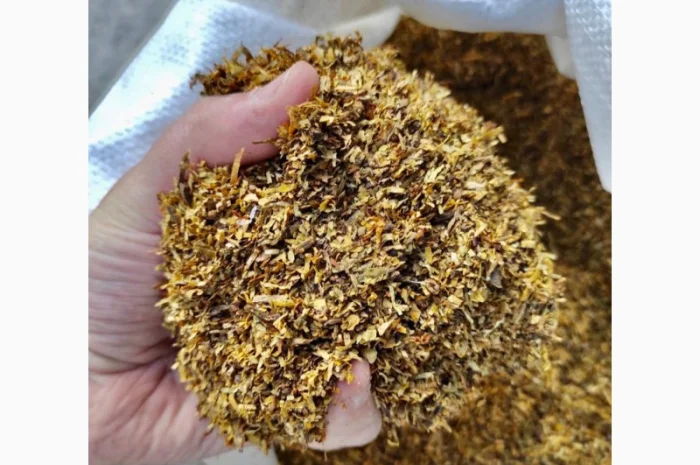 Kapitan Blek- фото № 6