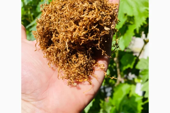 Табак Капитан Блек- фото № 3