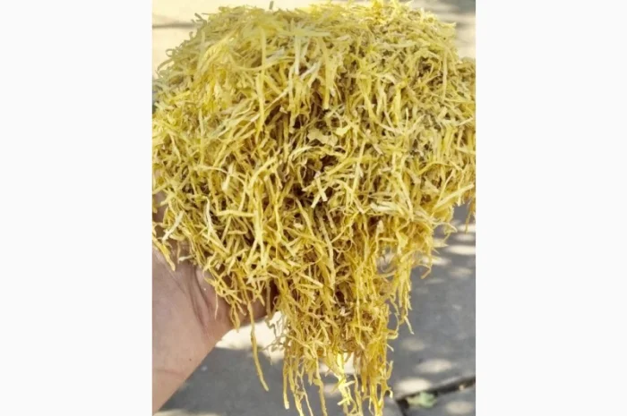 Герцеговина, Золотое руно, Вирджиния, Дюбек, Мериленд, Camel, Marlboro Є Опт- фото № 6