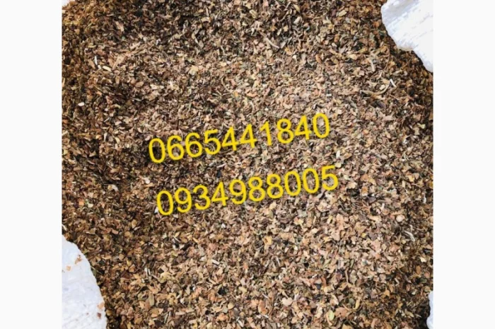 Дюбек, Гавана, Берлі, Голд, Руно, Вірджинія, Бонд, Мальбро без палок та пилі- фото № 11