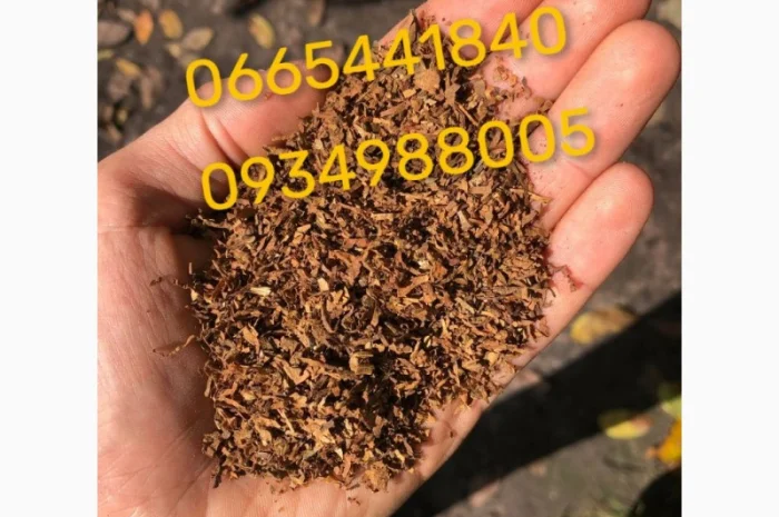 Дюбек, Гавана, Берлі, Голд, Руно, Вірджинія, Бонд, Мальбро без палок та пилі- фото № 18