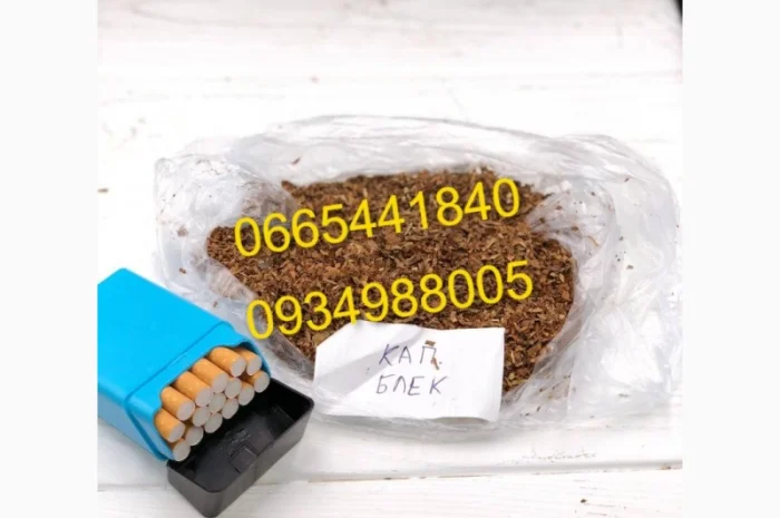 Дюбек, Гавана, Берлі, Голд, Руно, Вірджинія, Бонд, Мальбро без палок та пилі- фото № 13