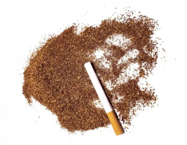 Реалізуємо приводний, Берлі, Вірджинія, Ксанті, Мальборо, Дюбек, Махорку- фото № 10