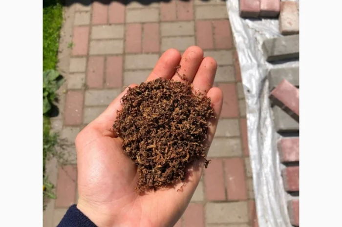 Дюбек / Гавана / ВірдПол / Хлопья / Махорка / Берлі / Мальбро / Гільзи / КапБлек- фото № 15