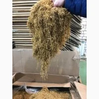 Качественный табак Верджиния оптом и в розницу недорого- фото № 3