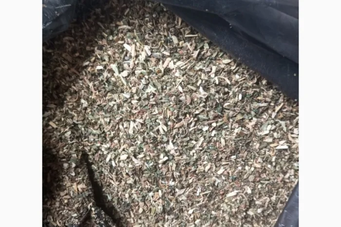 Куплю Махорку оптом від мішка- фото № 1