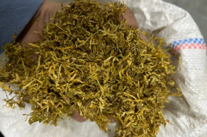 Табак Турецкий импортный. Лёгкий. Крепкий. Средний- фото № 3