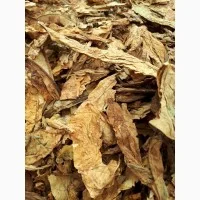 Продам фабричный и домашний табак разной крепости и нарезки-Звоните прямо сейчас- фото № 4