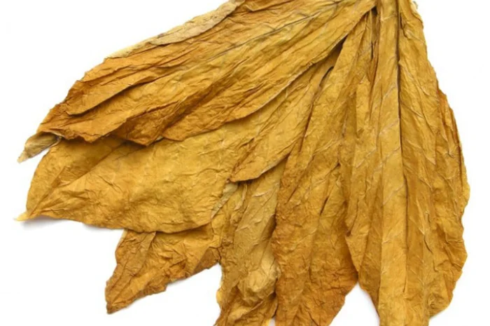 Продам табак махорка верджиния берлі без центральної жилки- фото № 6