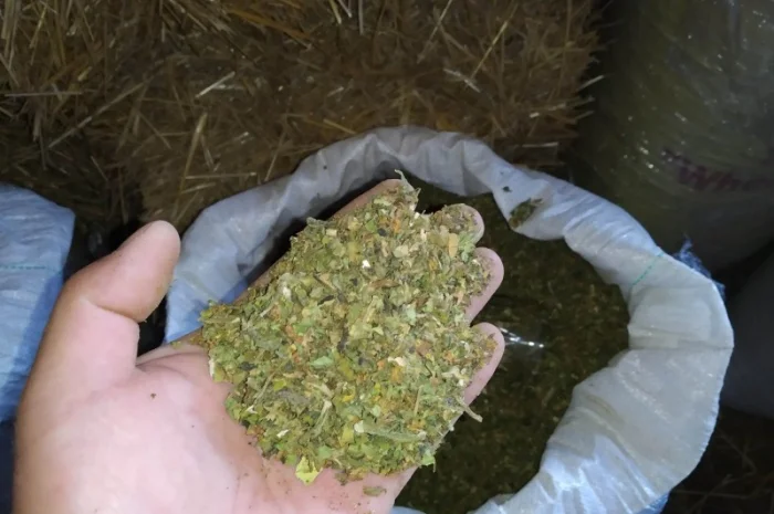 Куплю лист з табака некондиція з різних табаків 170 грн кг відходи з листа- фото № 1