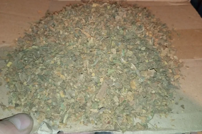 Зелені трьохцвєтка відходи з листа хлопя табака куплю по 200грн. сорт любий- фото № 1