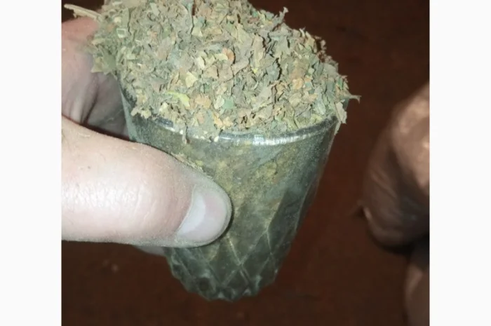 Куплю лист битий хлопями зеленими некондицію від мішка- фото № 1