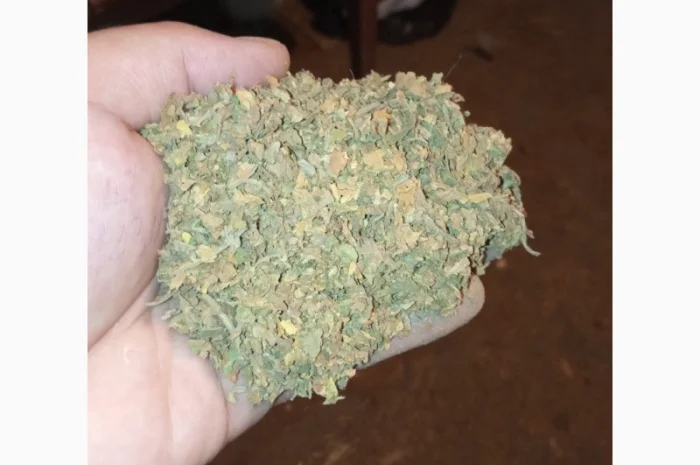Куплю табак трьохцвєтку хлопями зеленими некондиція лист битий з центральною жилкою- фото № 1