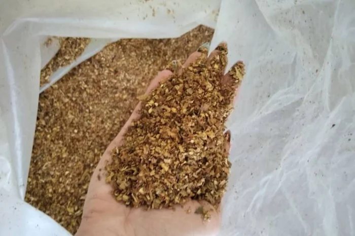 Куплю відходи хлопя з некондиці обрізки крепкого тютюну відходи некондиція лапші- фото № 1