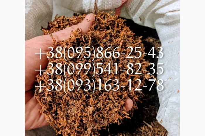 БЕРЛИ Табак! Супер Табак! Кент Табак! Бонд Табак- фото № 3