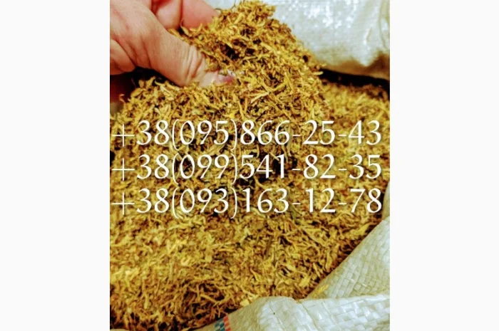 Акция Табак самосад  для  самокруток ! табак Берли Табак махорка! Табак вирджиния оптом- фото № 1