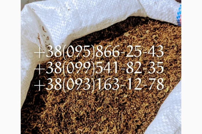 Акция Табак самосад  для  самокруток ! табак Берли Табак махорка! Табак вирджиния оптом- фото № 2