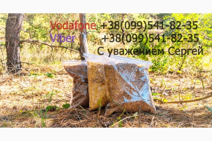 Продам ТАБАК  для  сигарет 1 кг: АКЦІЯ! Вирджиния Голд Фабричный. Вирджиния, Берли, (Бонд, Винстон, Кемел)- фото № 2
