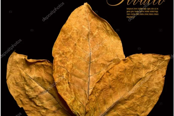 ОГРОМНЫЙ выбор табака  для  самокруток, аксессуаров, лучшие цены! Вирджиния Голд, Берли- фото № 1