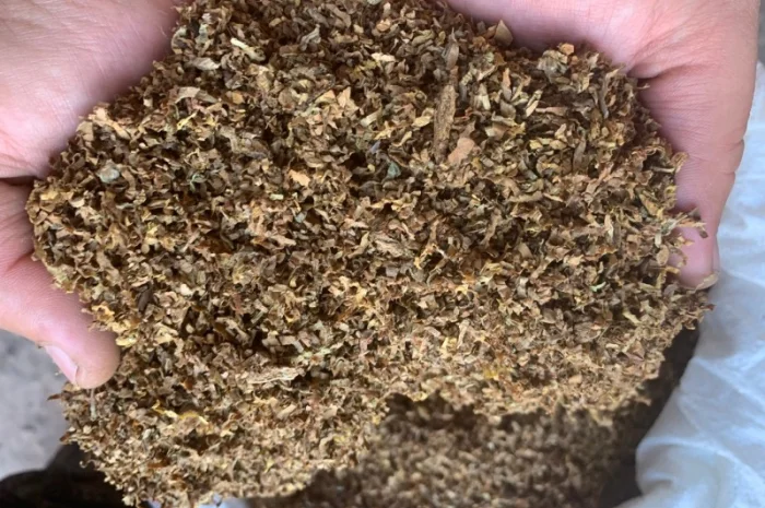 Продам табак  для  самокруток без мусора- фото № 1