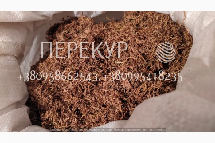 Домашний ТАБАК самосад, махорка- фото № 1