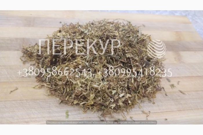 Домашний ТАБАК самосад, махорка- фото № 3