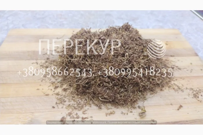 Домашний ТАБАК самосад, махорка- фото № 4