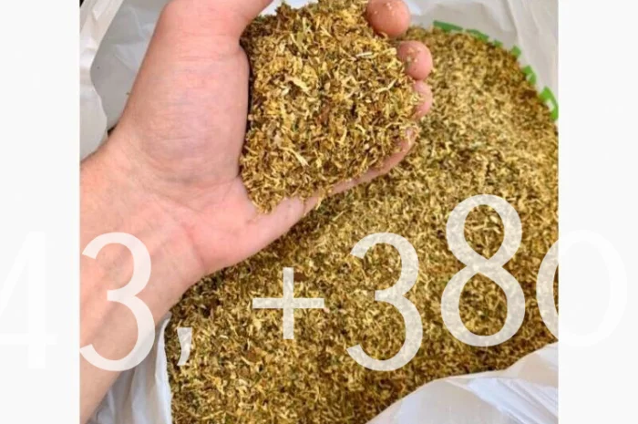 Натуральный табак без ароматизаторов и красителей, только качественный- фото № 1