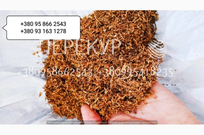 Натуральный табак без ароматизаторов и красителей, только качественный- фото № 2