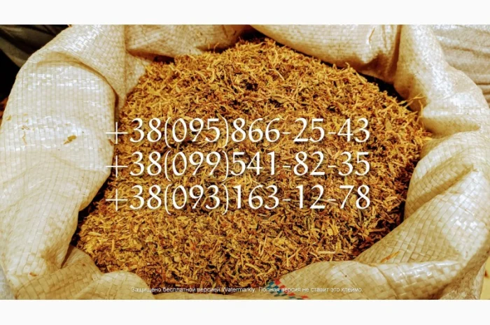 Табаки вирджиния кентуки махорка самосад берли миллениум золотое руно- фото № 1