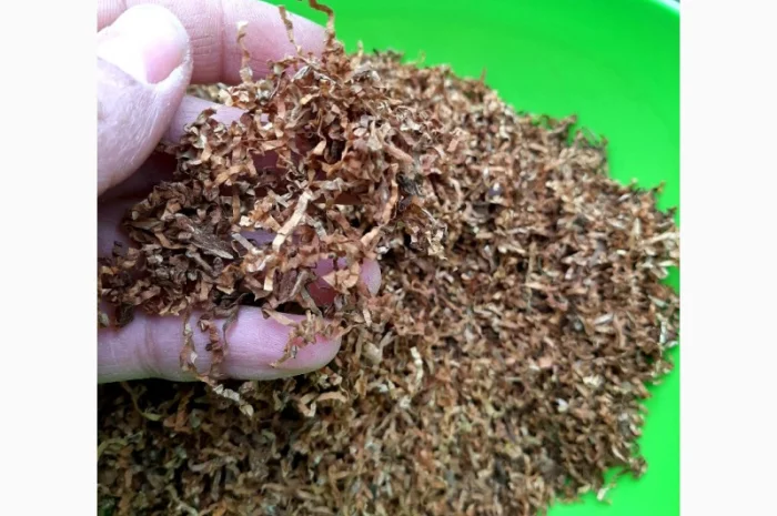 Вирджиния Голд, Вирджиния, Берли.СУПЕР КАЧЕСТВО- фото № 11