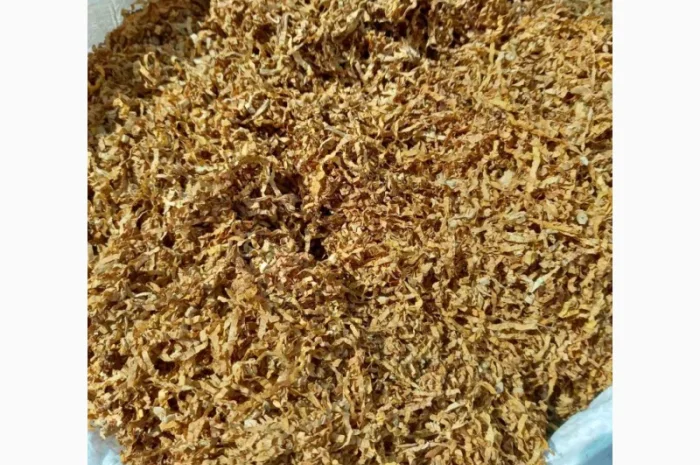 Вирджиния Голд, Вирджиния, Берли.СУПЕР КАЧЕСТВО- фото № 12