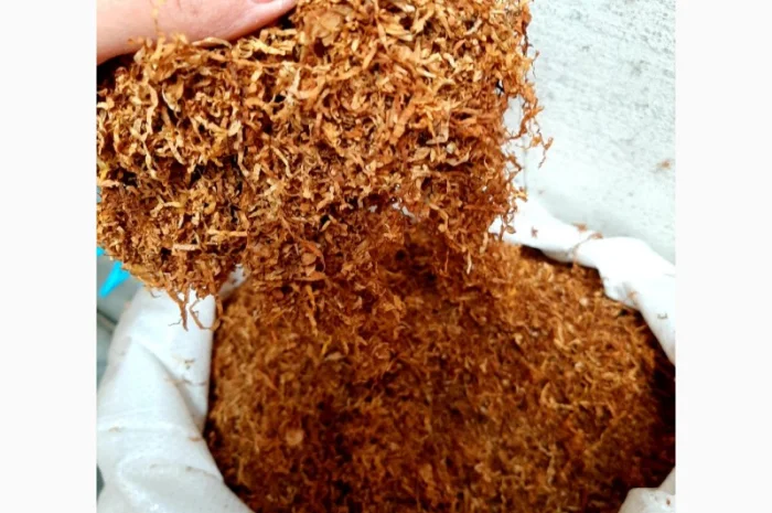 Вирджиния Голд, Вирджиния, Берли.СУПЕР КАЧЕСТВО- фото № 5