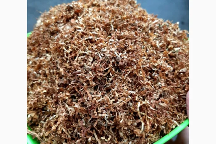 Вирджиния Голд, Вирджиния, Берли.СУПЕР КАЧЕСТВО- фото № 6